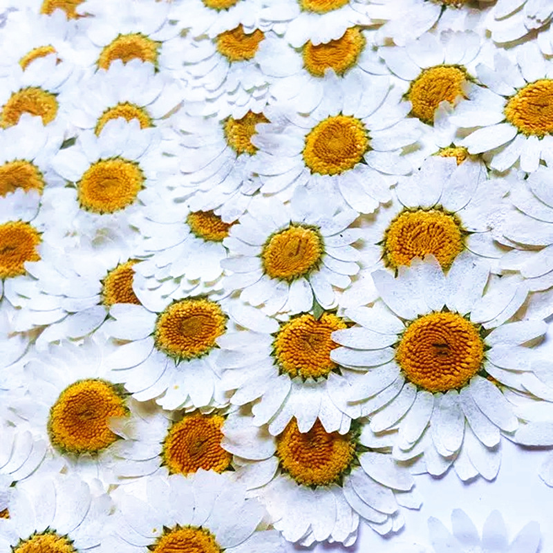 100Pcs Natural White Crystal C - Resin Craft Ideas incelemesi ve fiyatı