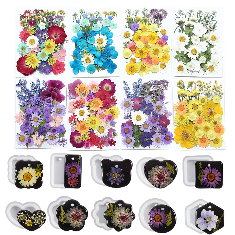 6pcsDried Flowers Real Natural - Flower Preservation Resin incelemesi ve fiyatı