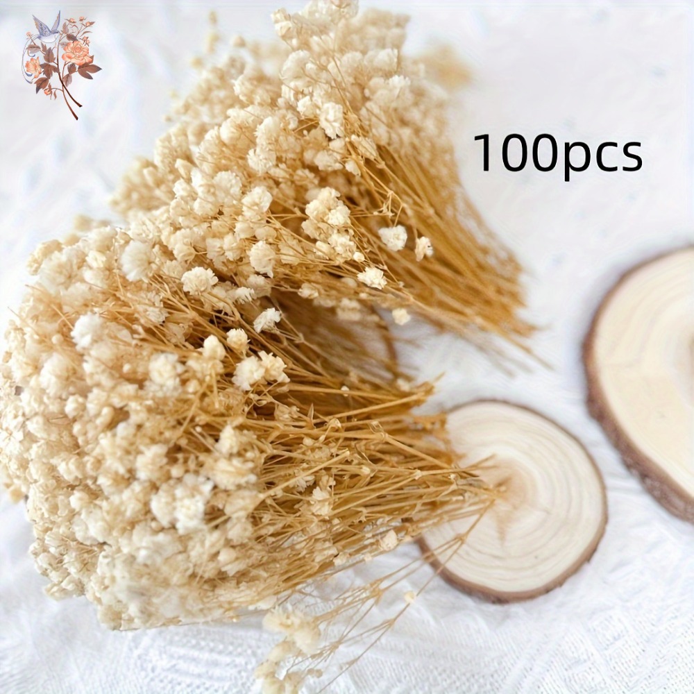 100pcs Mini Dried Baby's Breat - Resin Craft Ideas incelemesi ve fiyatı